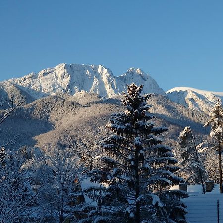 Hotel Lipowy Dwor Zakopane Exteriér fotografie