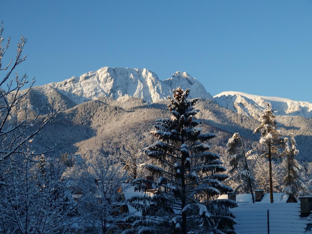 Hotel Lipowy Dwor Zakopane Exteriér fotografie