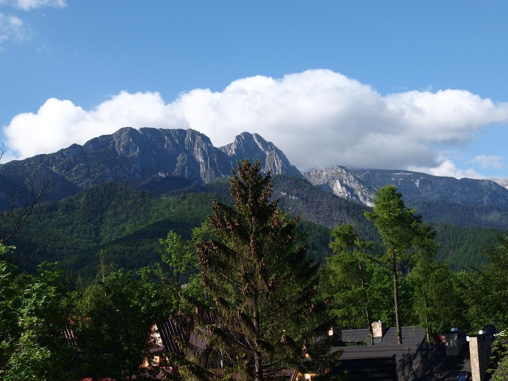 Hotel Lipowy Dwor Zakopane Exteriér fotografie